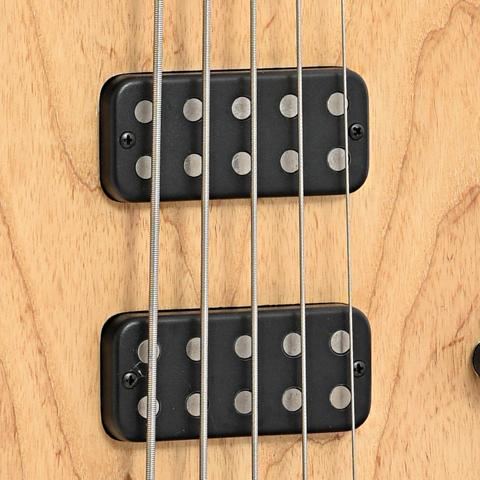 Pickups of Gibson EB-5 Electric Bass 