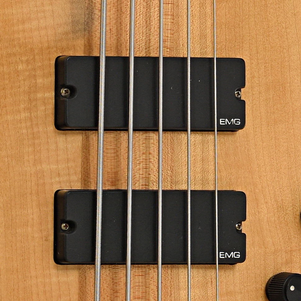 Pickups of Spector NS5CR 5-String Electric Bass