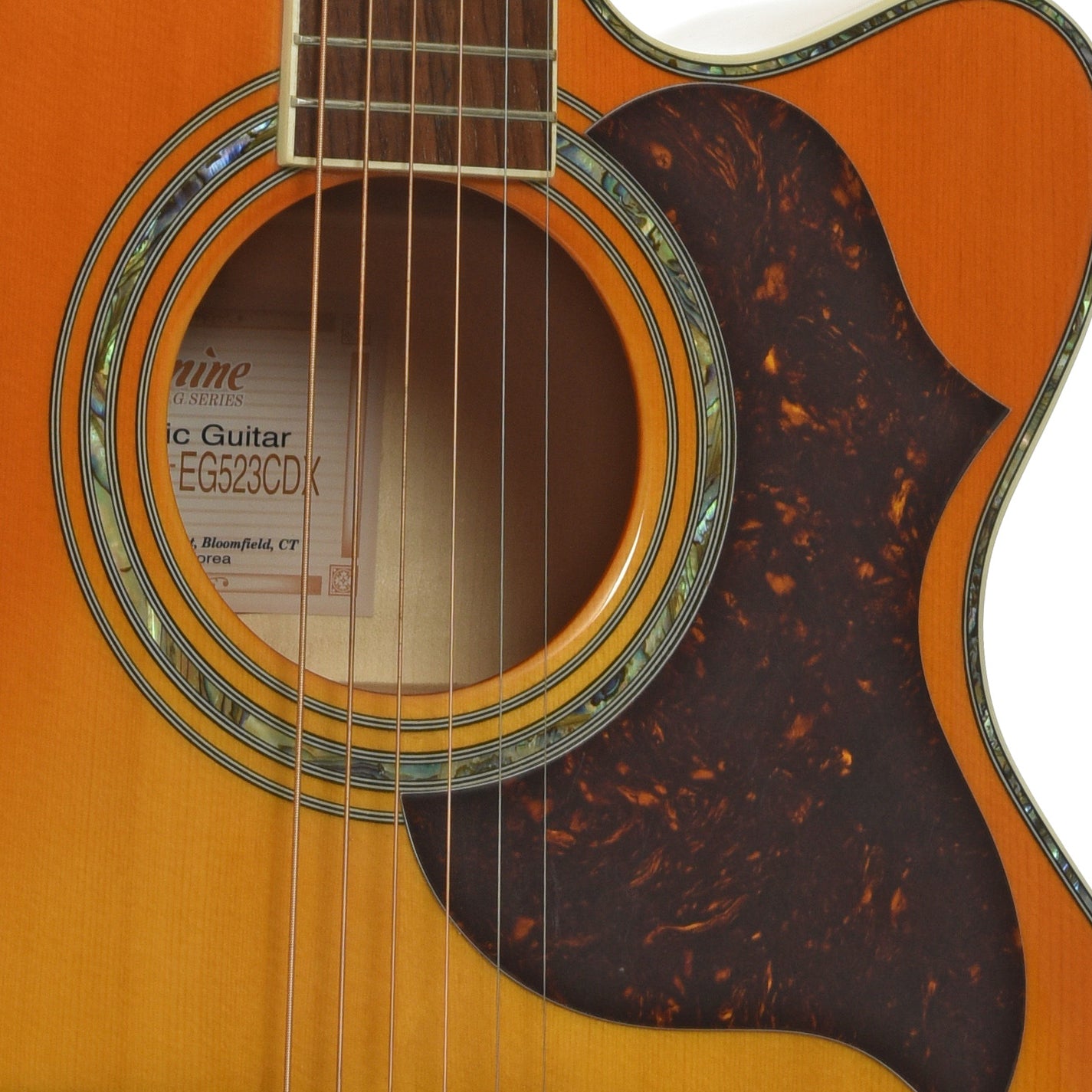 Soundhole of Takamine EG523CDX Acoustic-Electric  Guitar