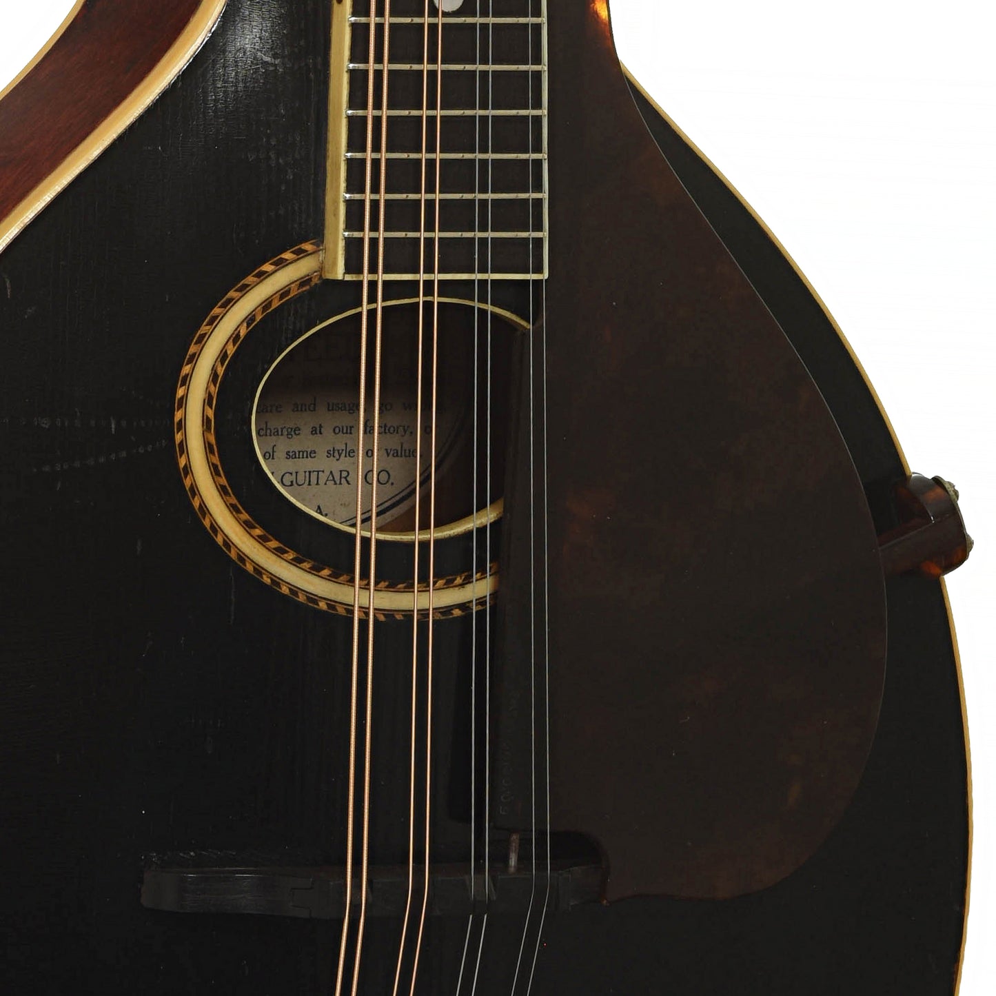 Soundhole of Gibson A-4 Mandolin