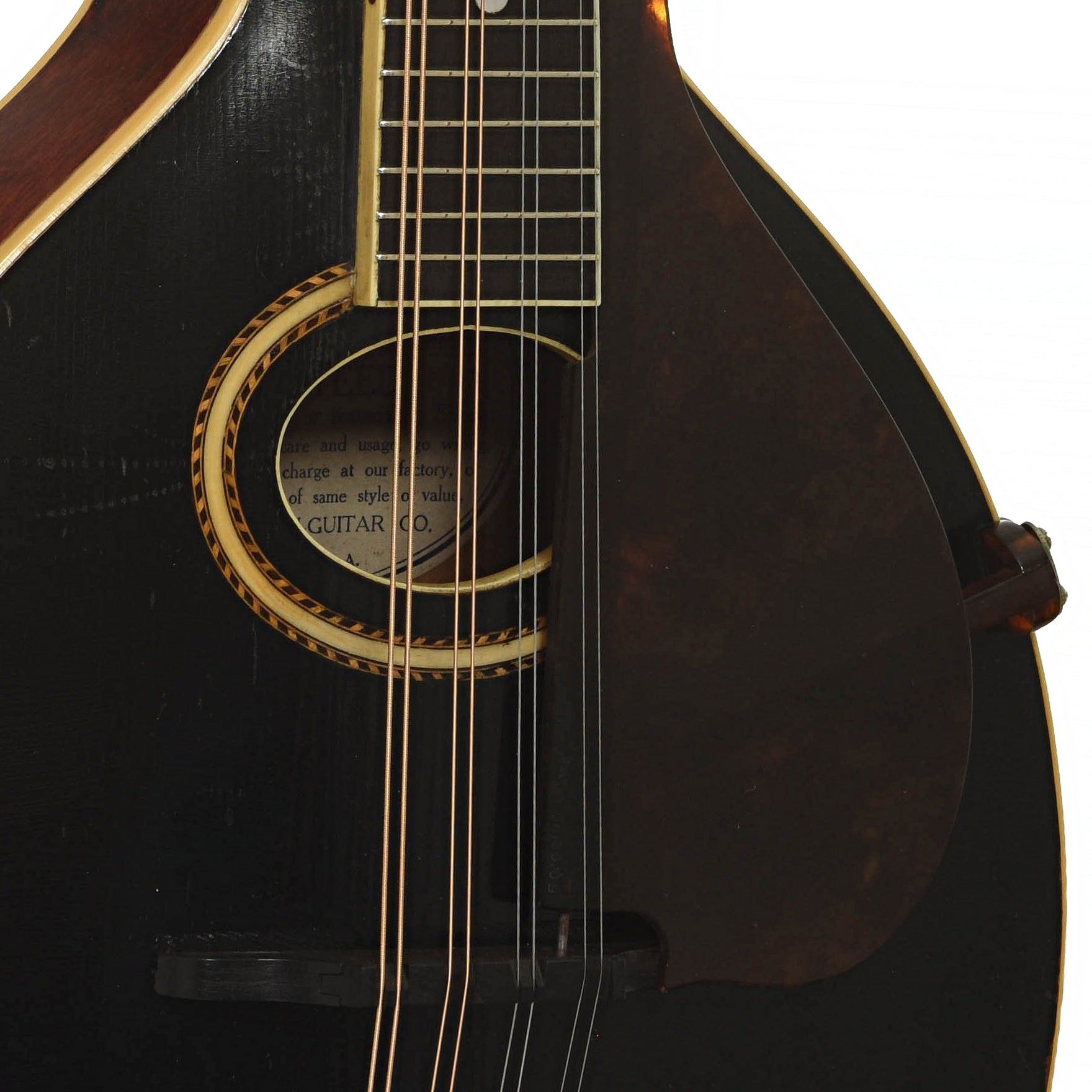 Soundhole of Gibson A-4 Mandolin