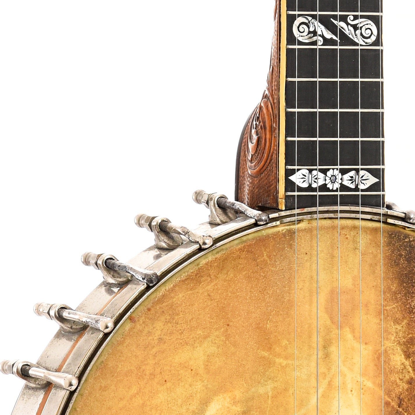 Neck and body join of Fairbanks Whyte Laydie No.7 Banjo