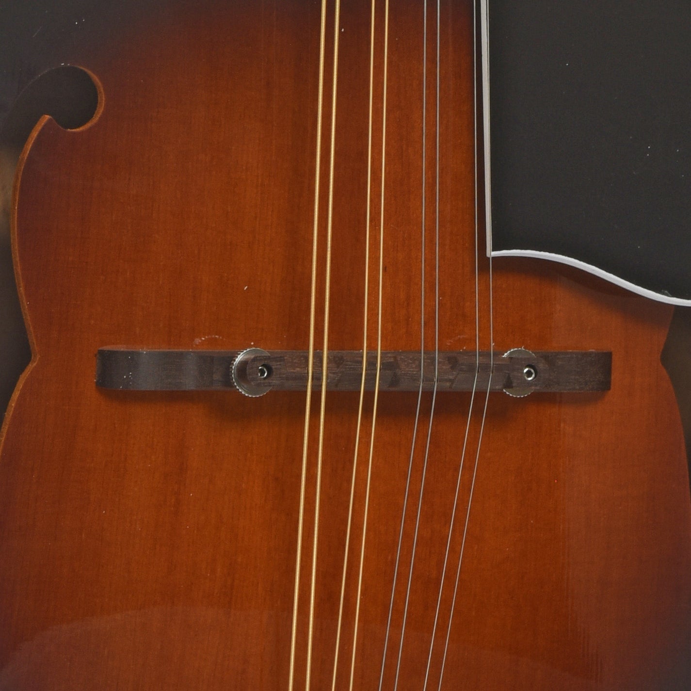Gold Tone GM-35 F-Style Mandolin & Case