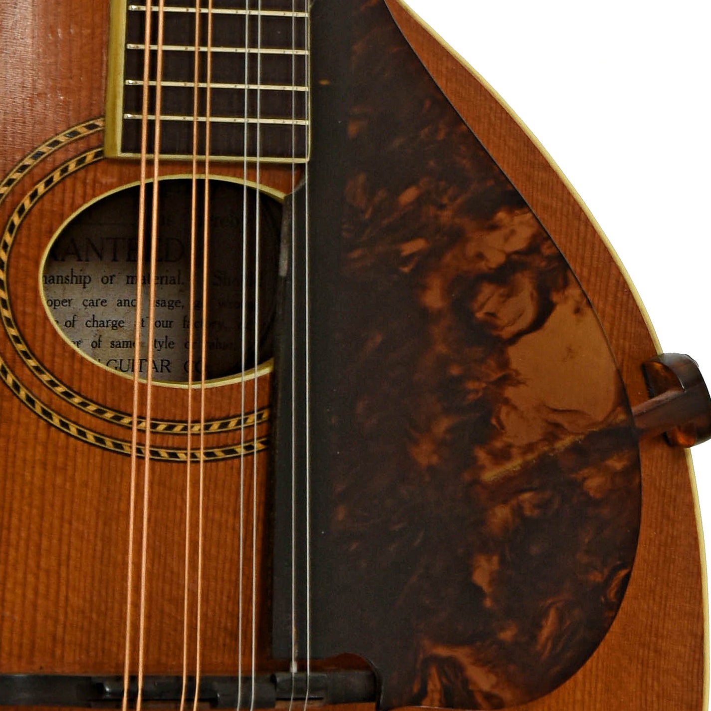 Soundhole of Gibson A-1 Mandolin
