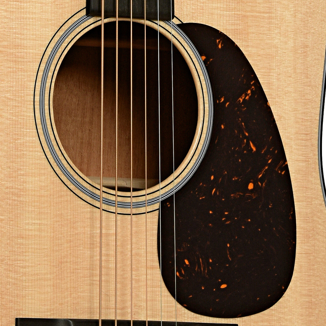 Soundhole of Washburn WD32S D-Size Acoustic Guitar