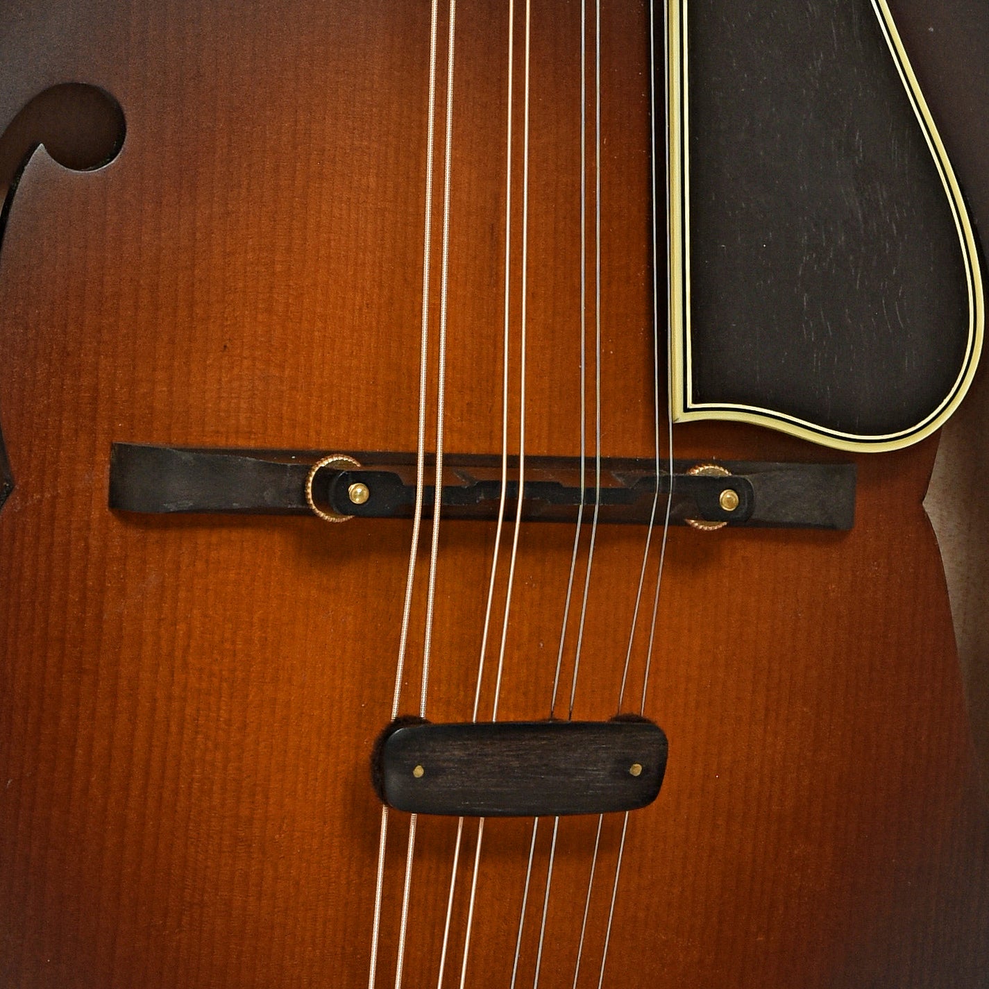 Bridge of Nugget F Mandolin 