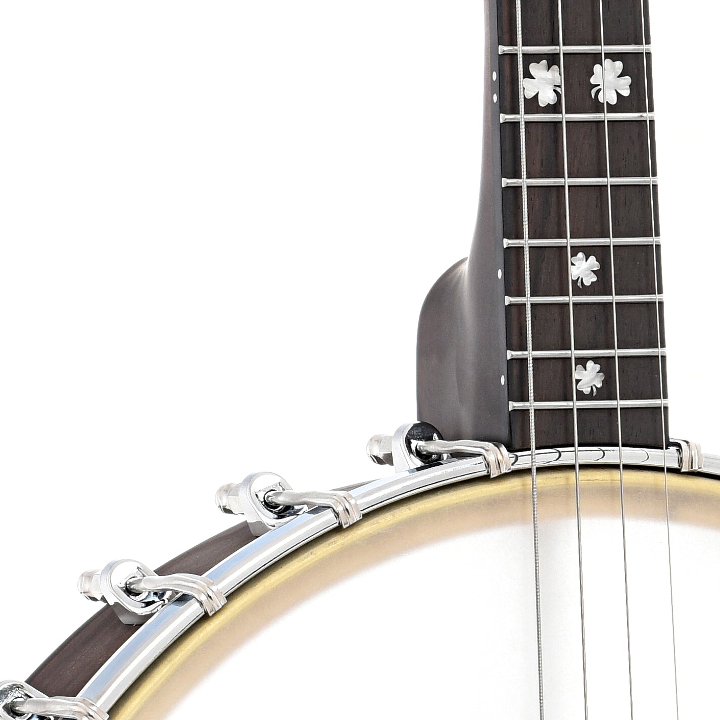 front body and neck join of Gold Tone Tenor Banjo & Gigbag, 12" Rim, 17 Frets