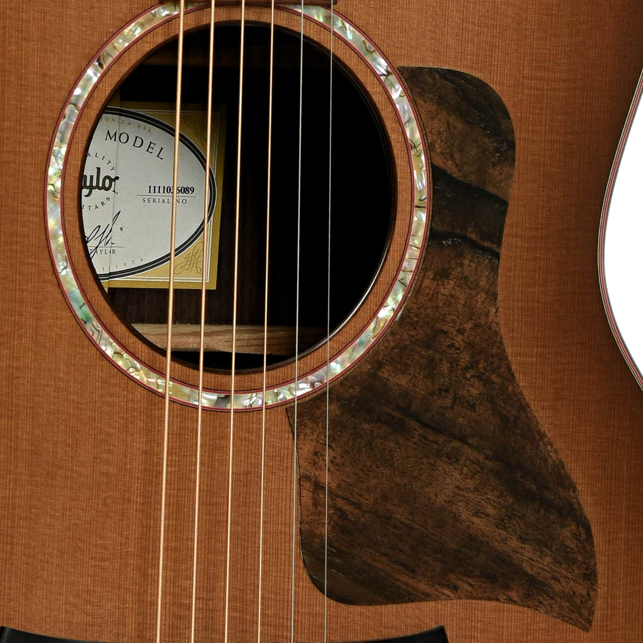 Soundhole of Taylor GS Custom Acoustic Guitar