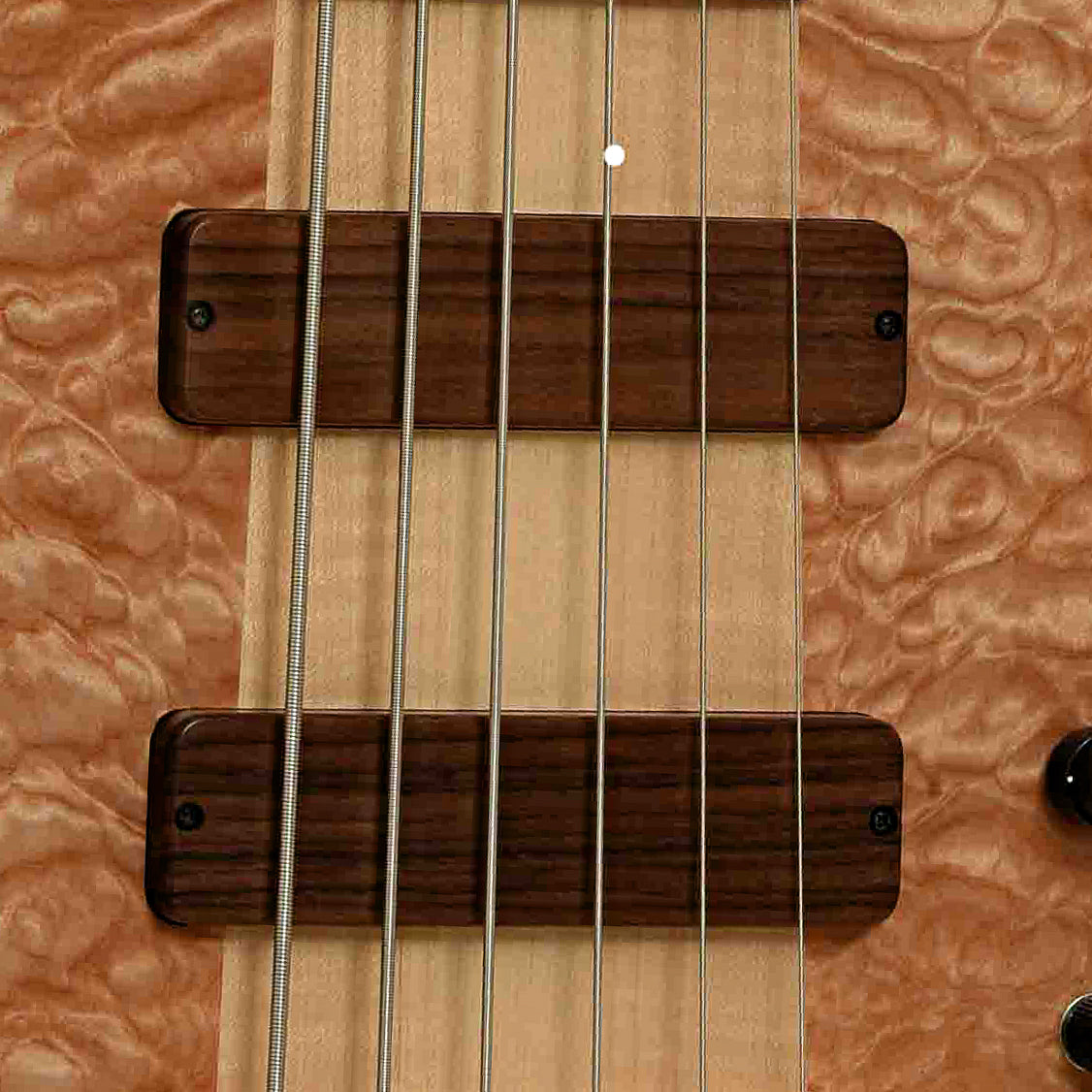 Pickups of Fodera Monarch Elite 6 6-String Electric Bass