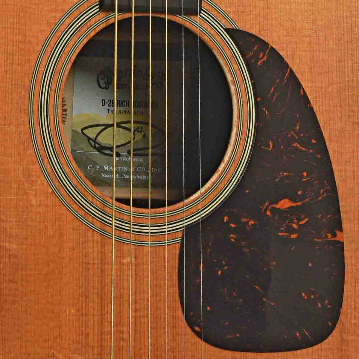 Soundhole of D-28 Rich Robinson The Appalachian Custom