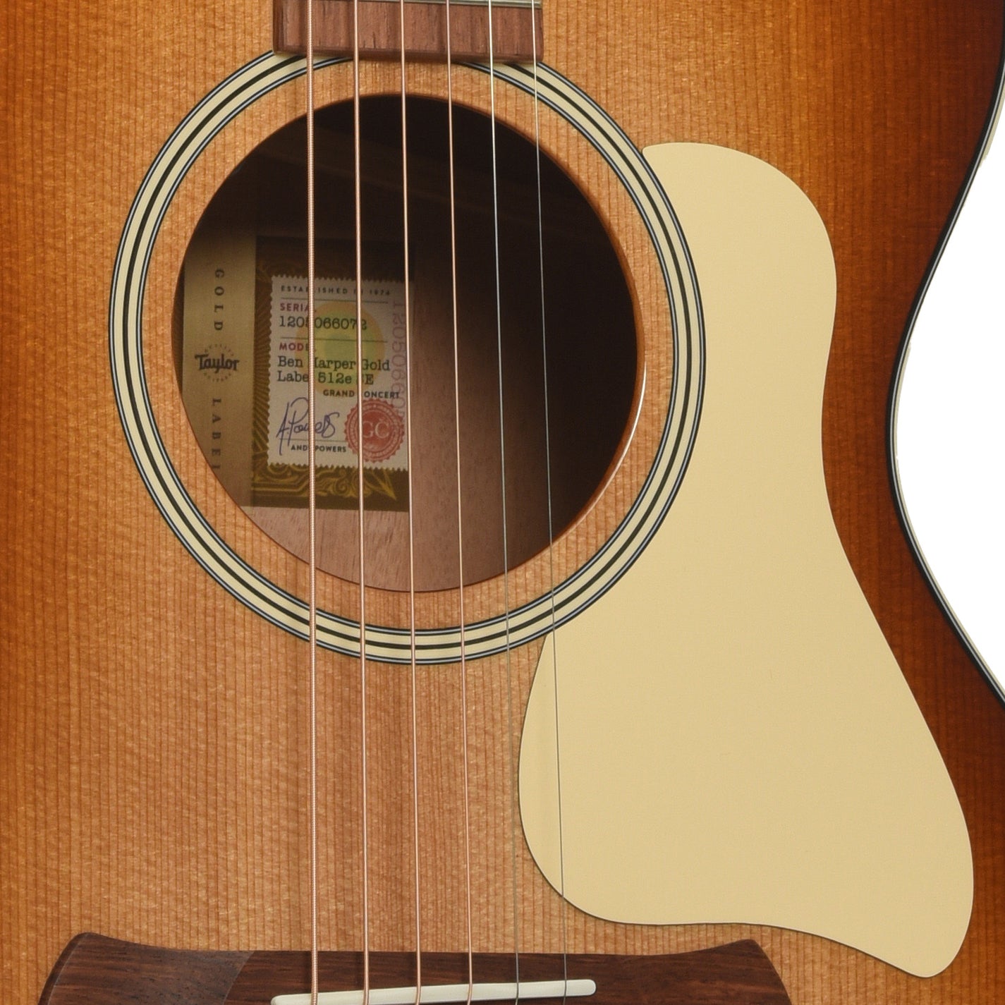Soundhole of Taylor Ben Harper Gold Label 512e Special Edition Acoustic Guitar  