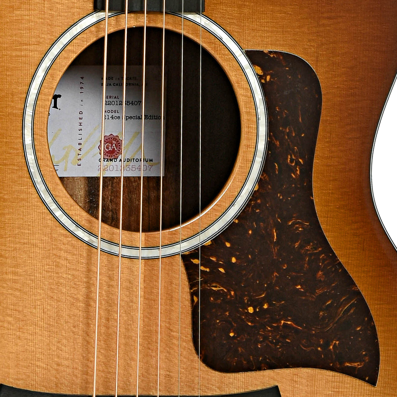 Soundhole of Taylor 214ce Limited Edition Tigerwood Acoustic Guitar