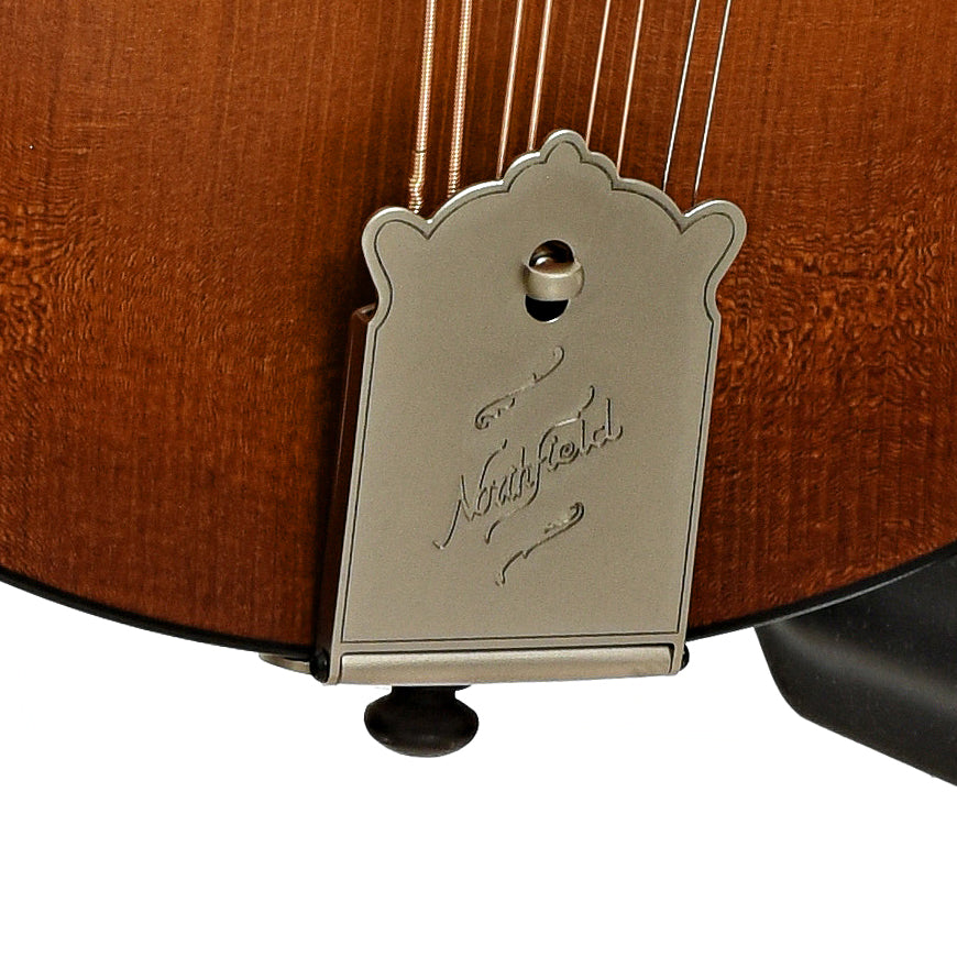 Tailpiece of Northfield Wavelength Octave Mandolin & Gig Bag, Ox Amber