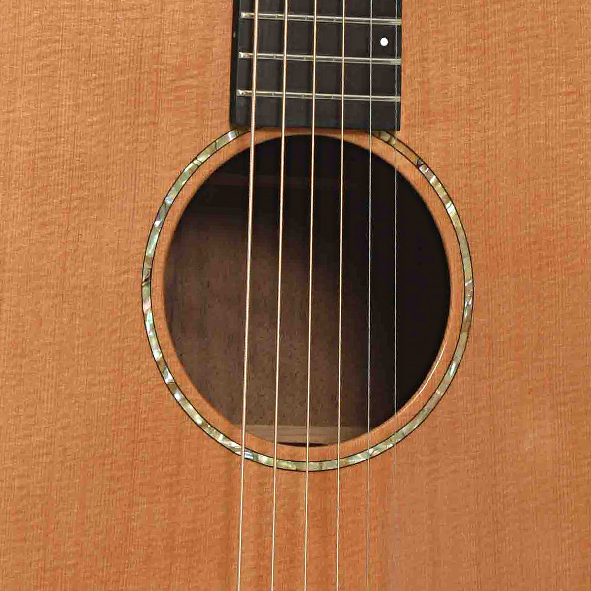Soundhole of Breedlove SC20/W