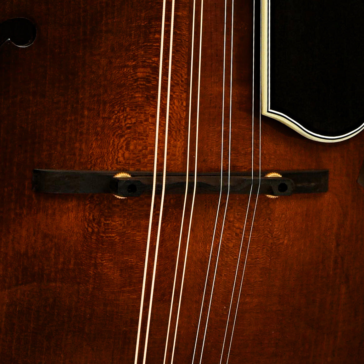 Bridge of Clark F-5 Mandolin 