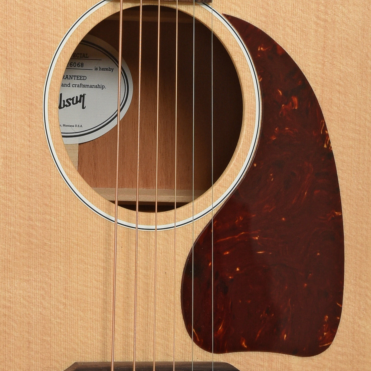 Soundhole of Gibson J-45 Special Acoustic Guitar