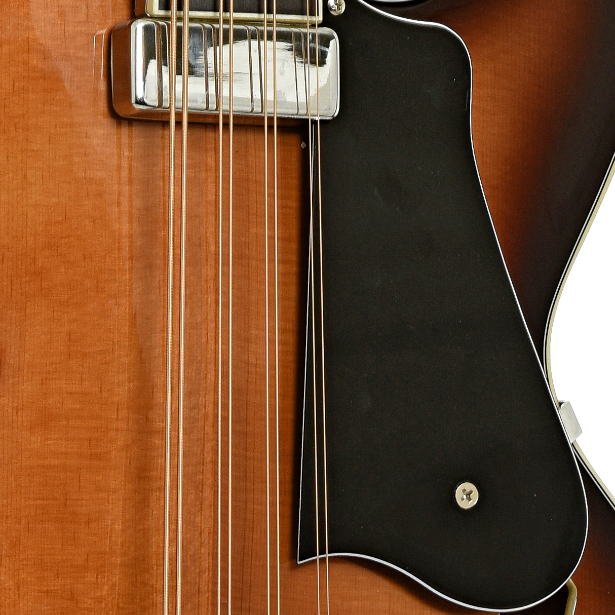 Pickup/pickguard of Gold Tone Acoustic-Electric Mandocello