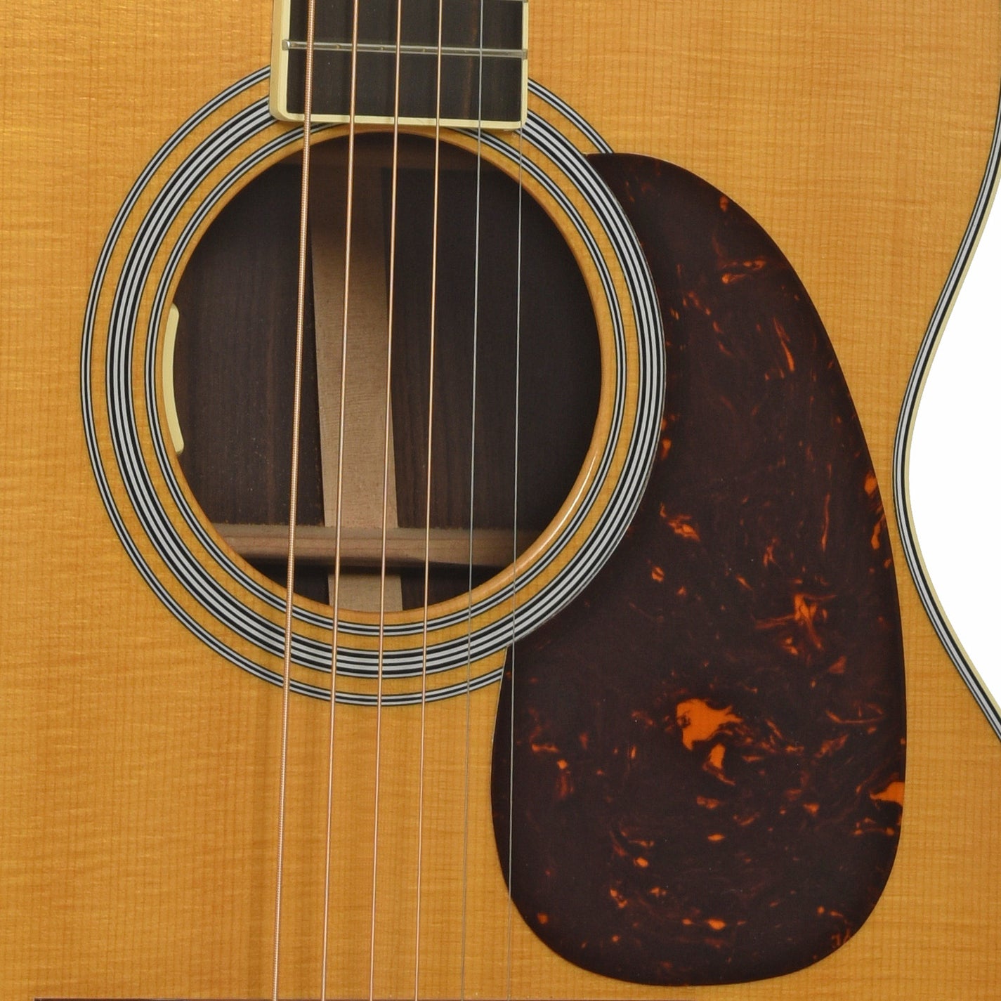 Soundhole of Martin M-36 Acoustic-Electric Guitar 