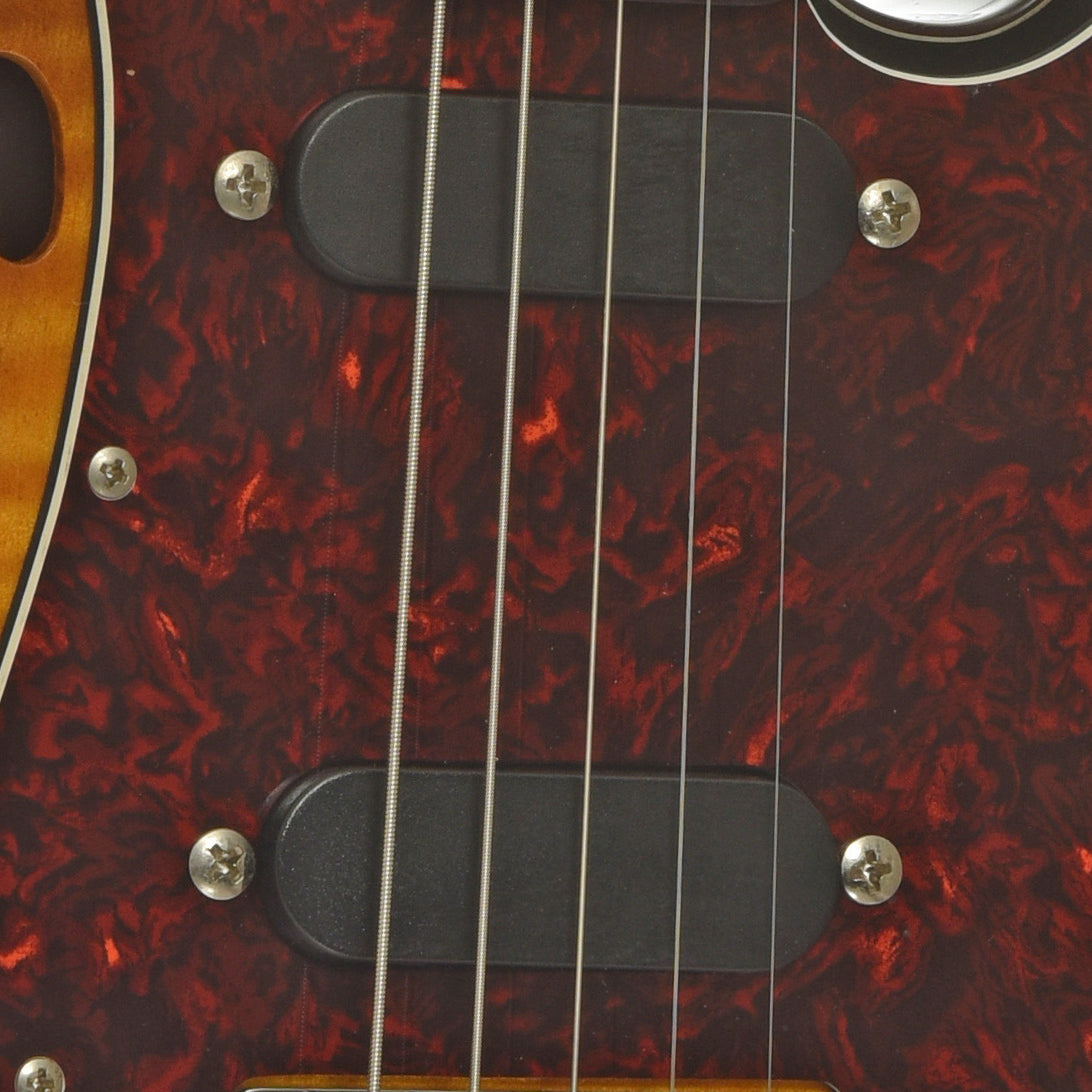 Pickups of Fender FM-60E 5-String Electric Mandolin  