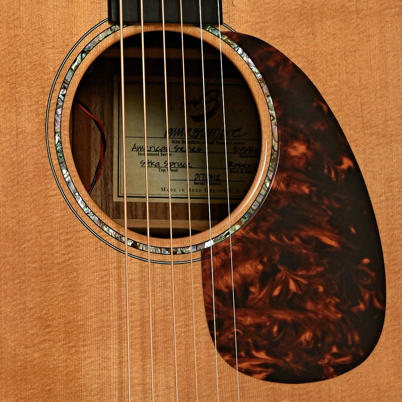 Soundhole of Breedlove D/SRE H American Series Acoustic Guitar  