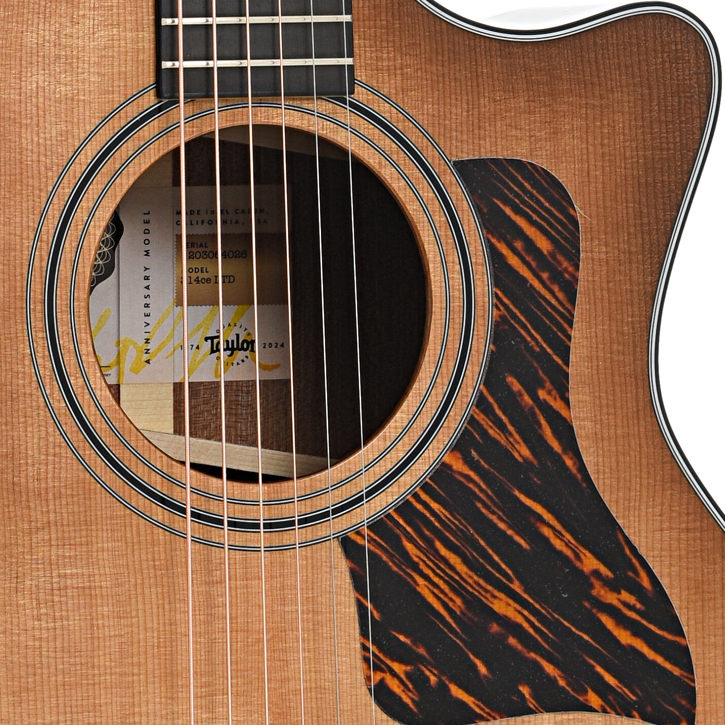 送料込み】Taylor 214ce ES2 エレアコ 本革ストラップ ケース 送料込み