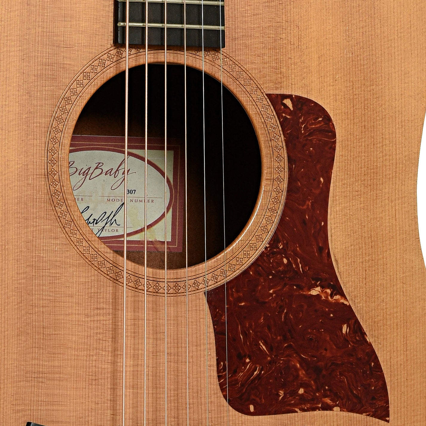 Soundhole of Taylor Big Baby 307 Acoustic Guitar