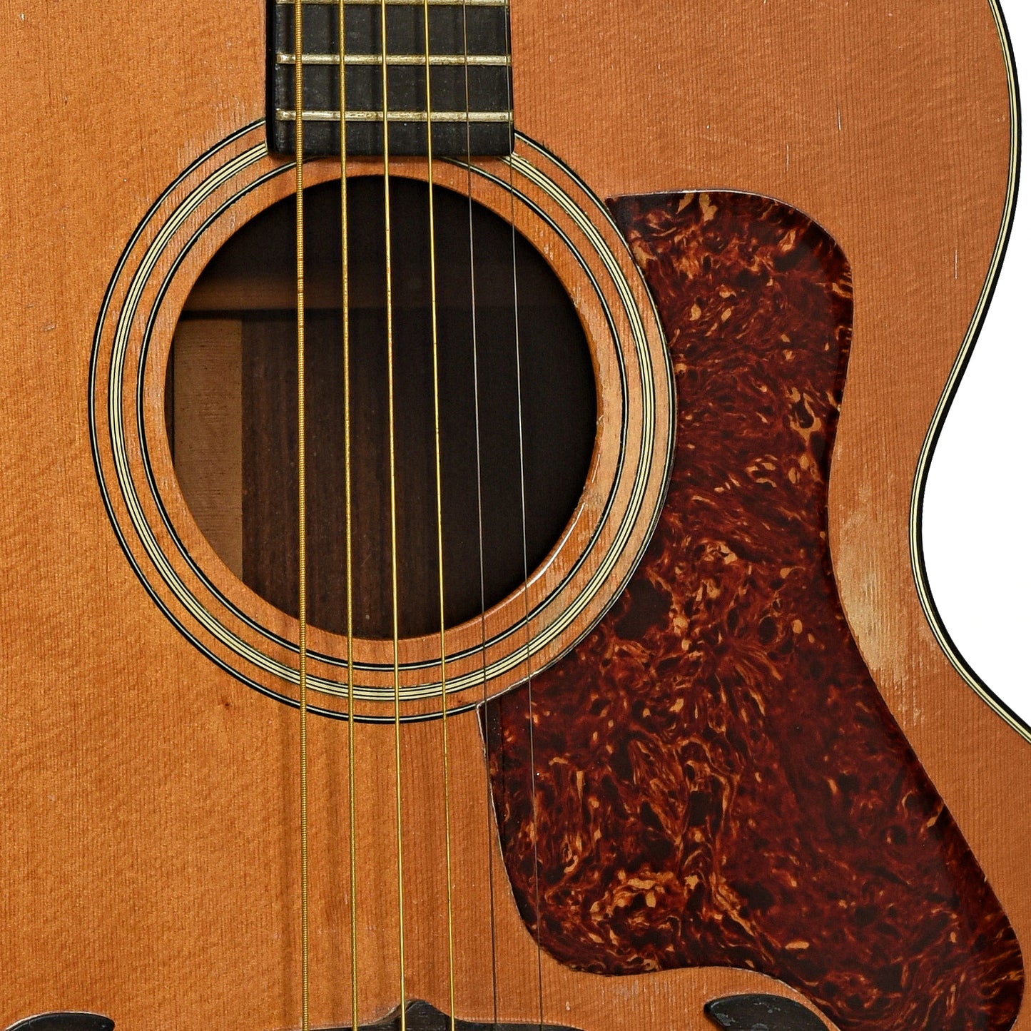 Soundhole of Taylor 715 Jumbo Acoustic Guitar