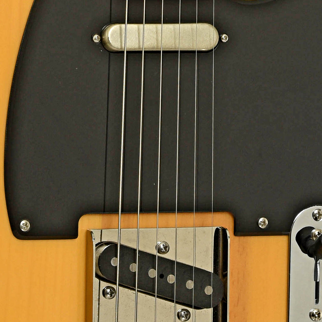 Bridge and controls of Squier Classic Vibe 50 Telecaster Electric Guitar  