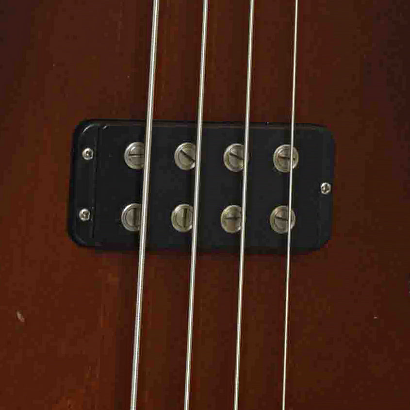 PIckup of G&L L-1000