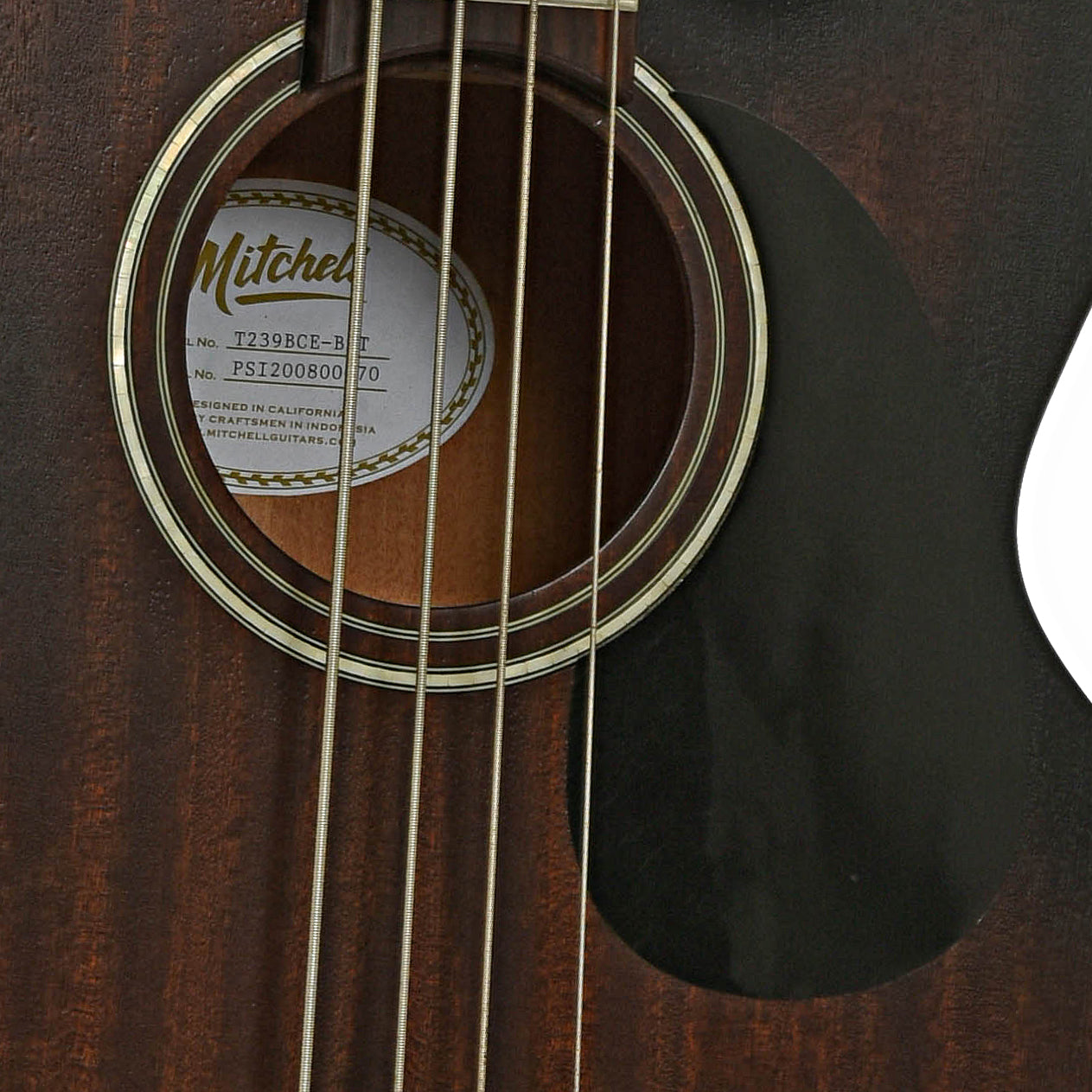 Soundhole of Mitchell T239BCE Acoustic-Electric Bass