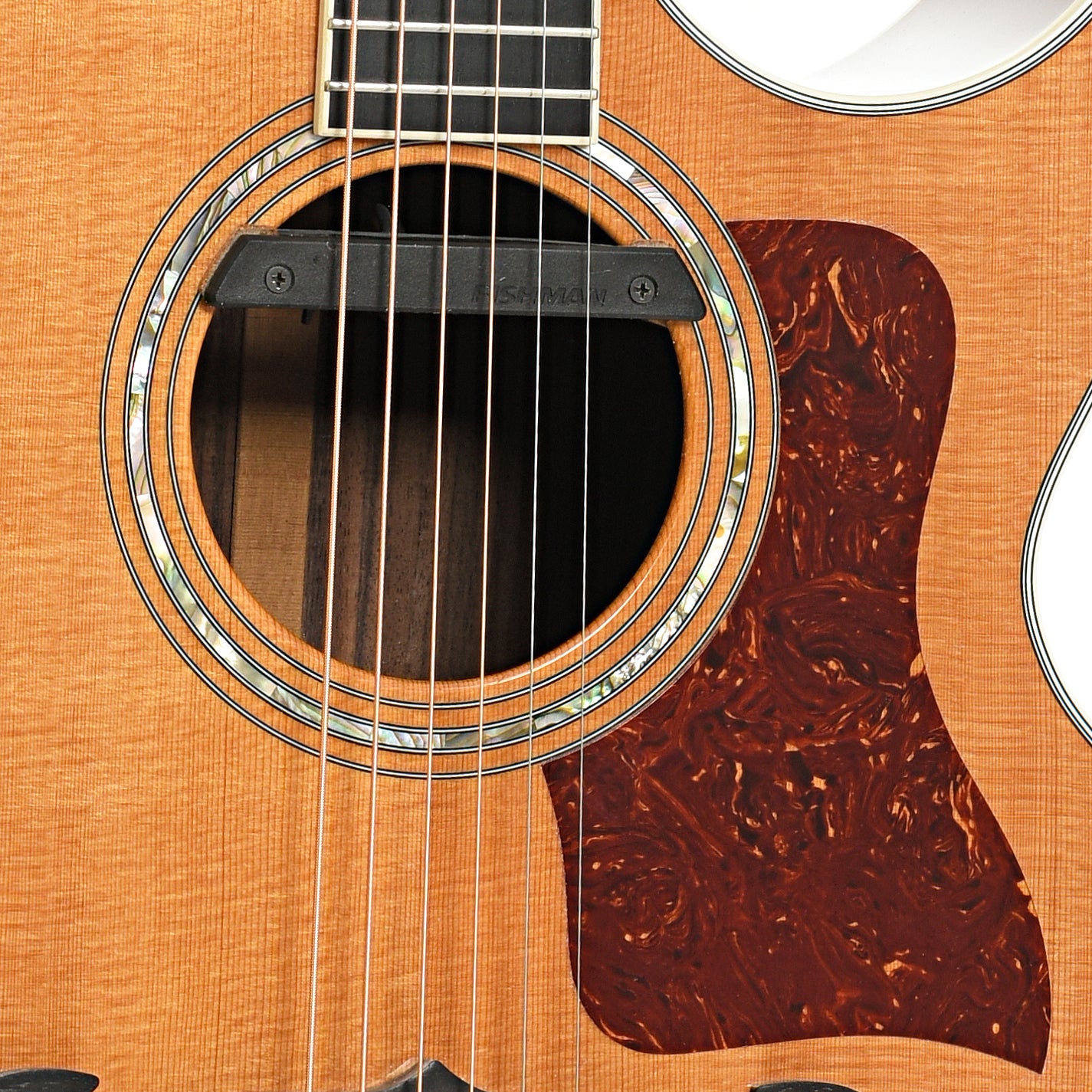 Sound hole and pickup of Taylor 815C Acoustic Guitar (1995)