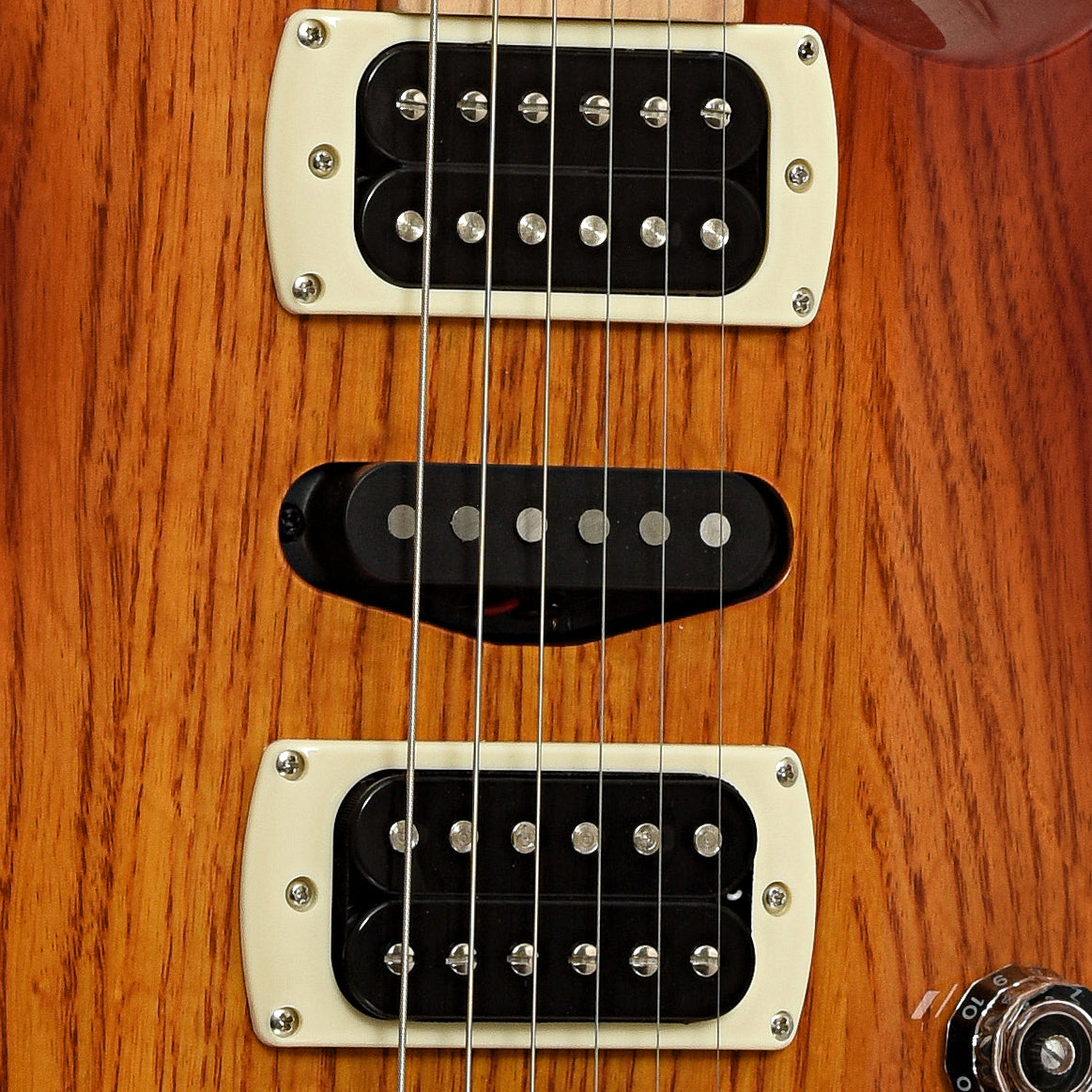 Pickups of PRS SE Swamp Ash Special Electric Guitar & Gigbag, Vintage Sunburst