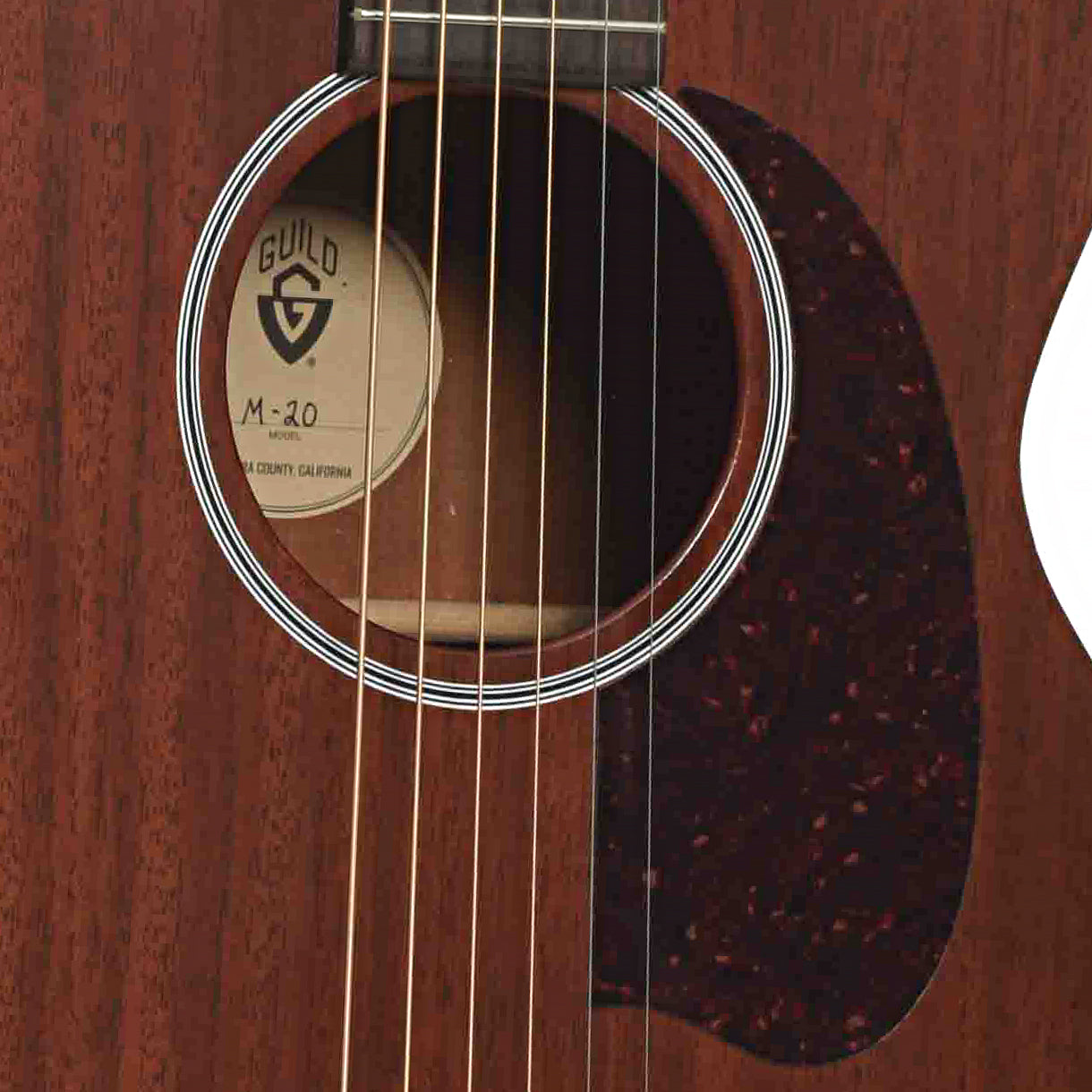 Guild M-20  Acoustic Guitar (2025)