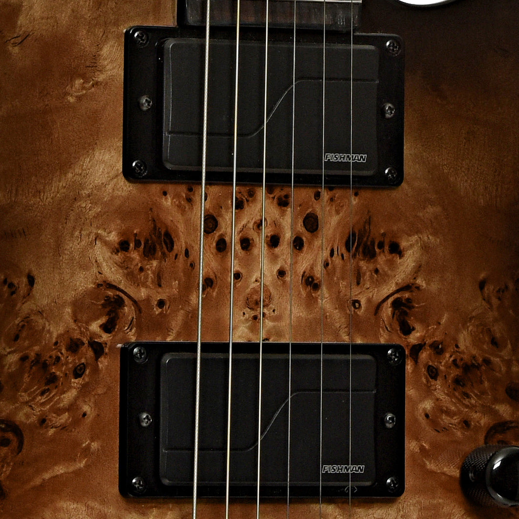 Pickups of ESP LTD TE-1000 Evertune Electric Guitar