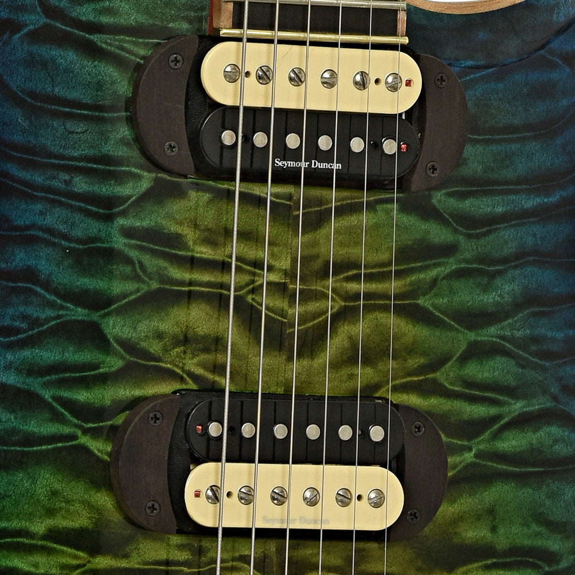 Pickups of Jet Earlewood Electric Guitar 