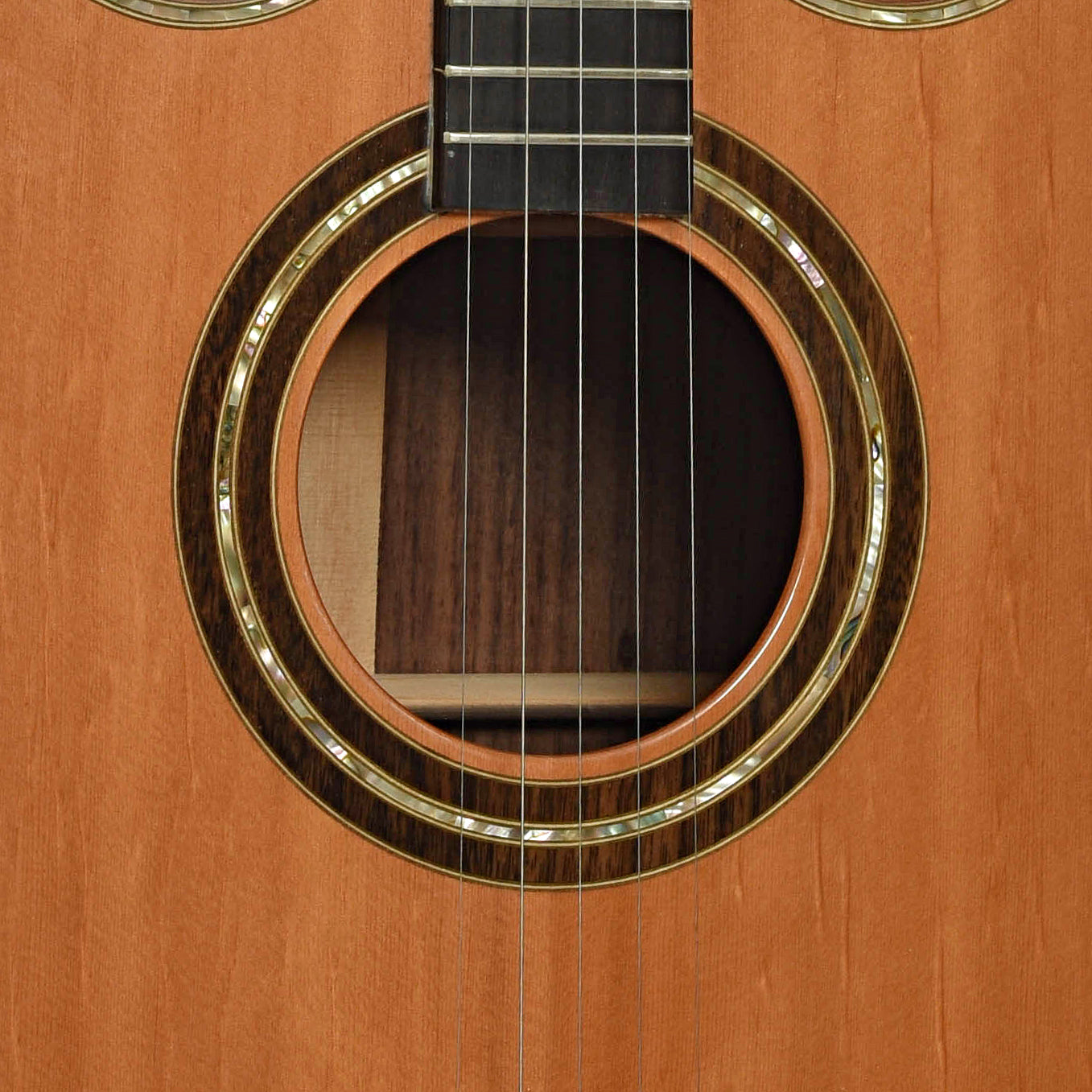 Soundhole of Doc Fossey Model 2 Banjitar