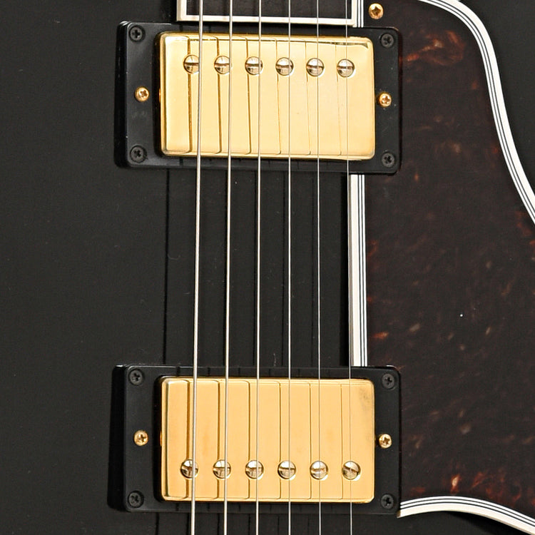 Pickups of Gibson Lucille
