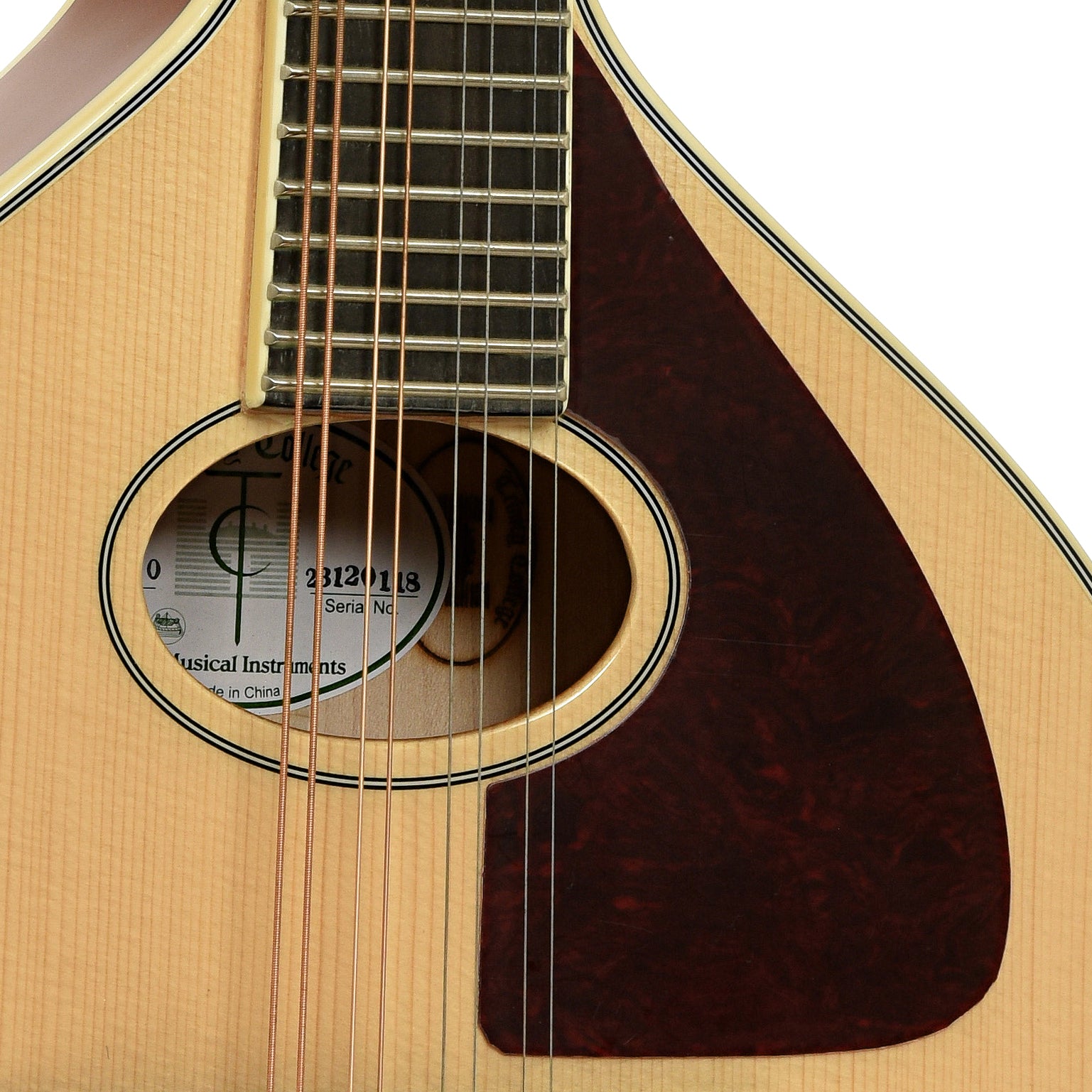 Soundhole of Trinity College TM-250 Celtic Mandolin 