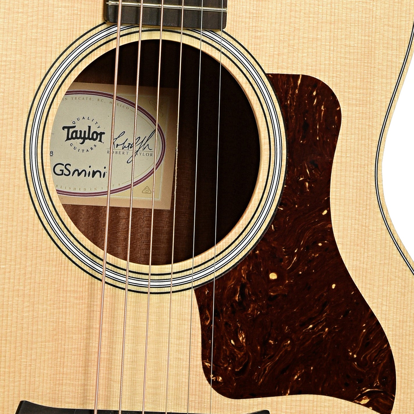 Soundhole of Taylor GS Mini-e QS LTD Acoustic-Electric Guitar