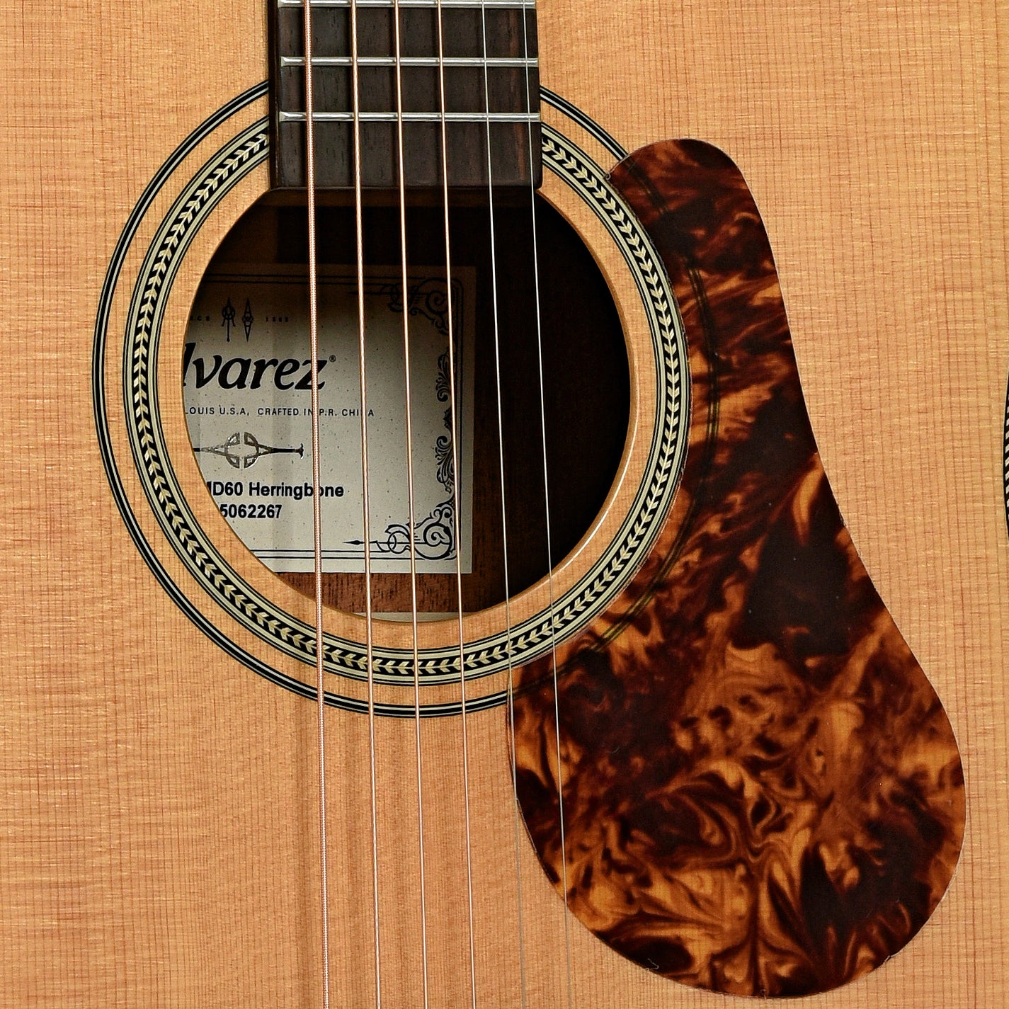 Soundhole of Alvarez Masterworks Series MD60 Herringbone Dreadnought Acoustic Guitar 