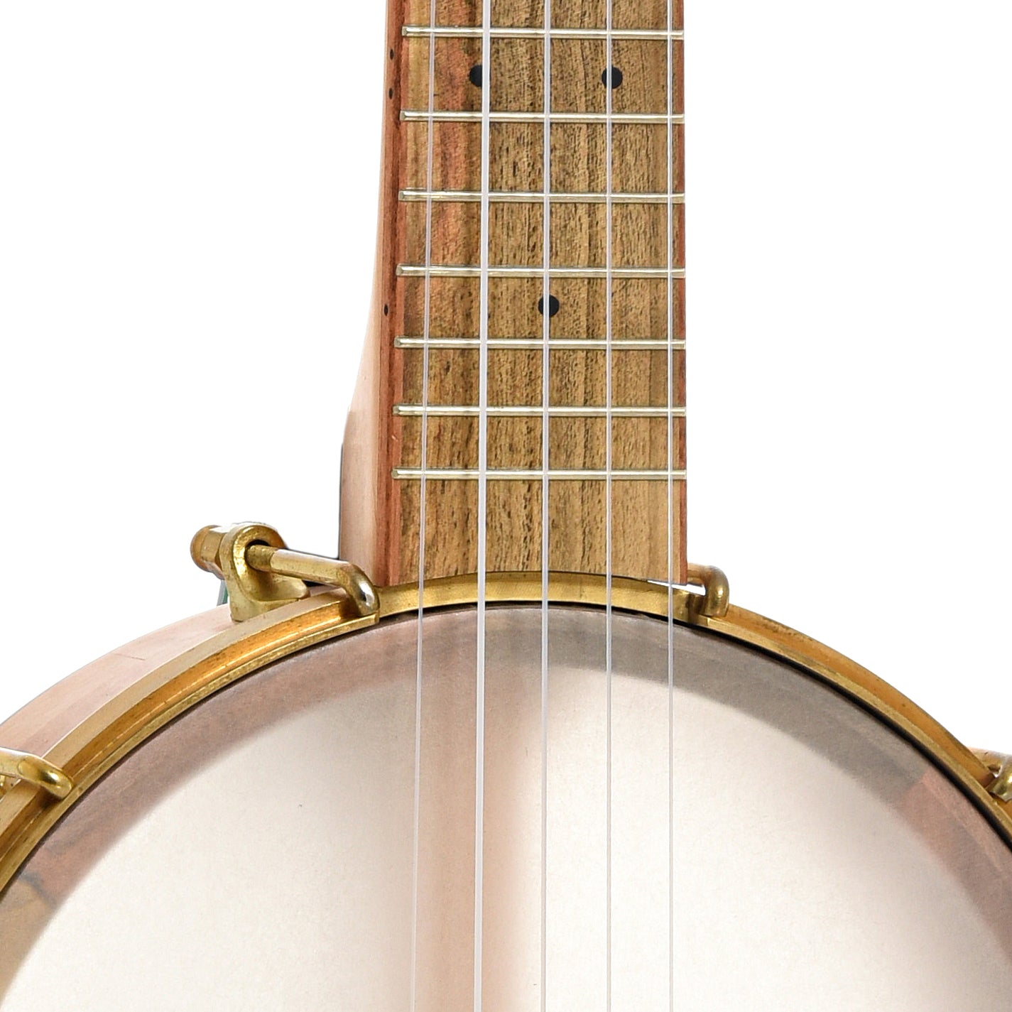 Front neck and body join of Aaron Keim Beansprout Mini 5-String Openback Banjo
