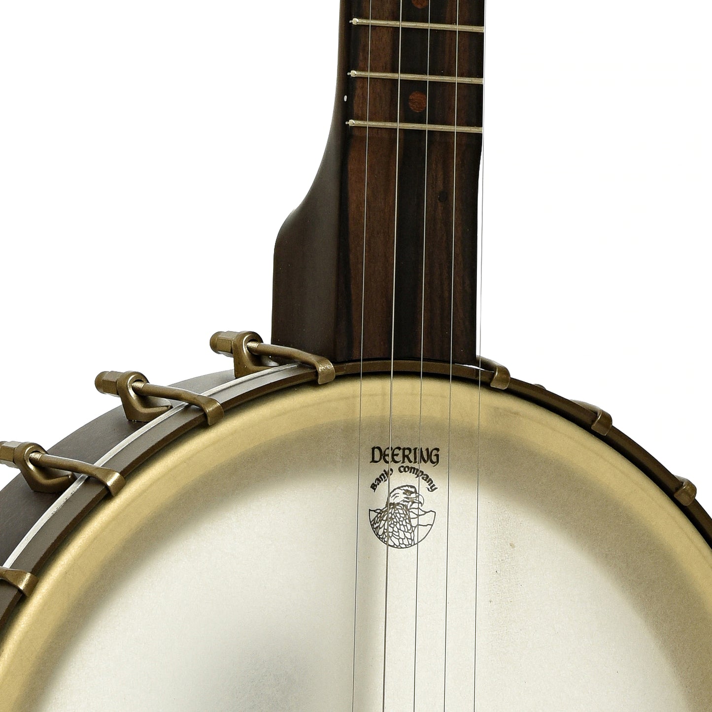 Front neck joint of Vega Vintage Star 12" Open Back Banjo