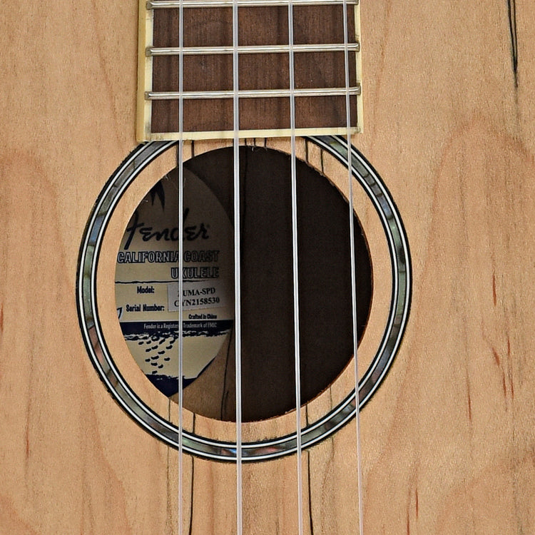 Sound hole of Fender Zuma Exotic Concert Ukulele, Spalted Maple