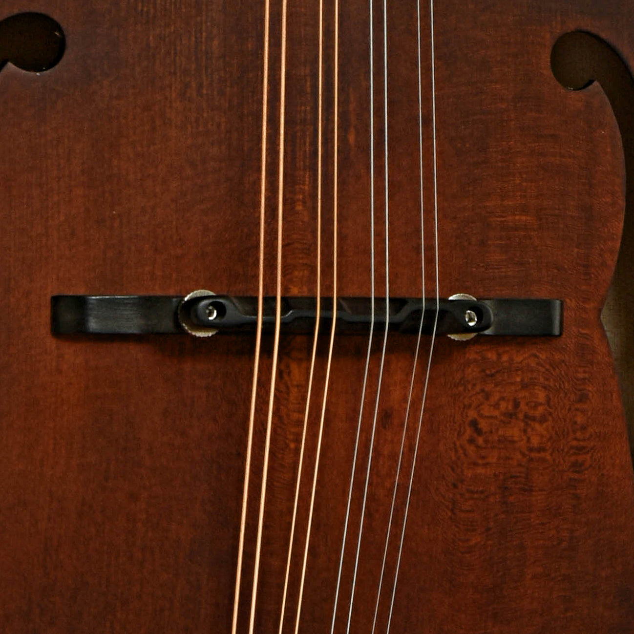 Bridge of Eastman MD315 F-Style Mandolin