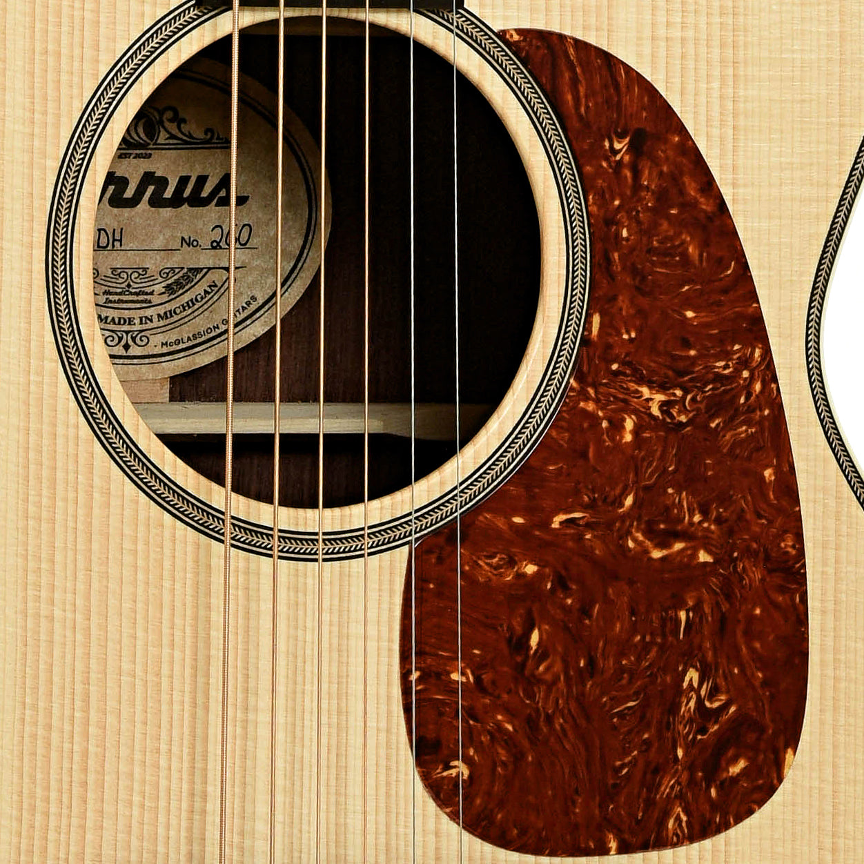 Soundhole of Cirrus COMD Acoustic Guitar 