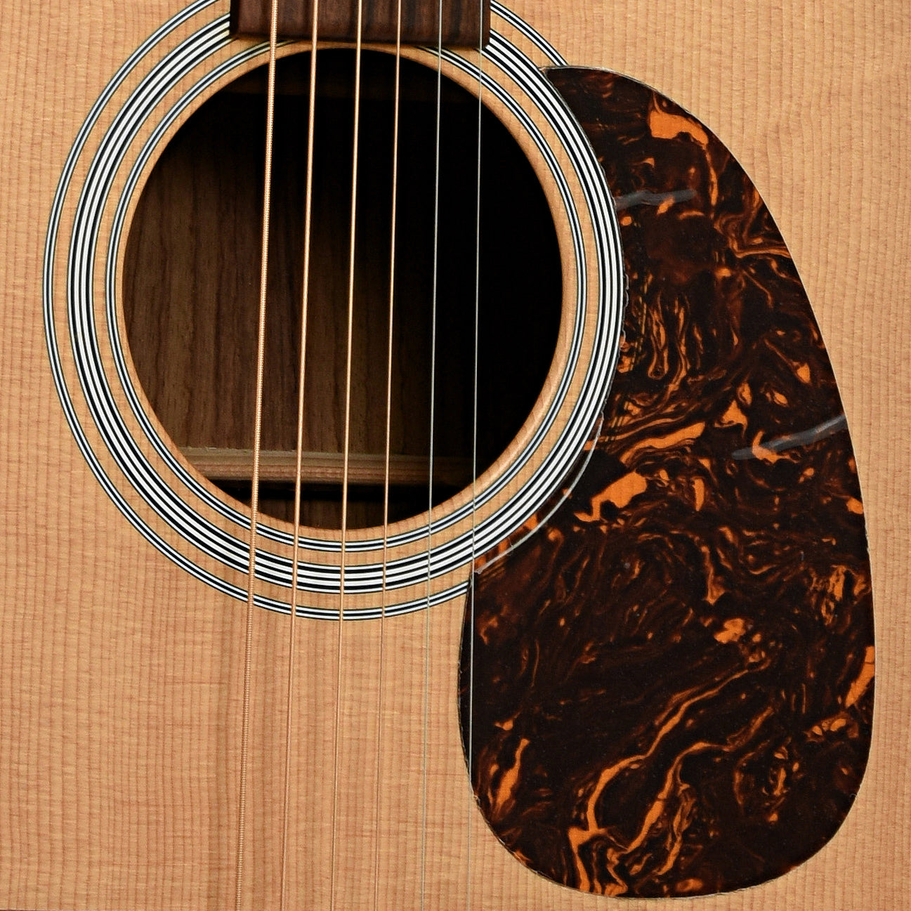 Soundhole of Martin DSR Custom Acoustic Guitar 