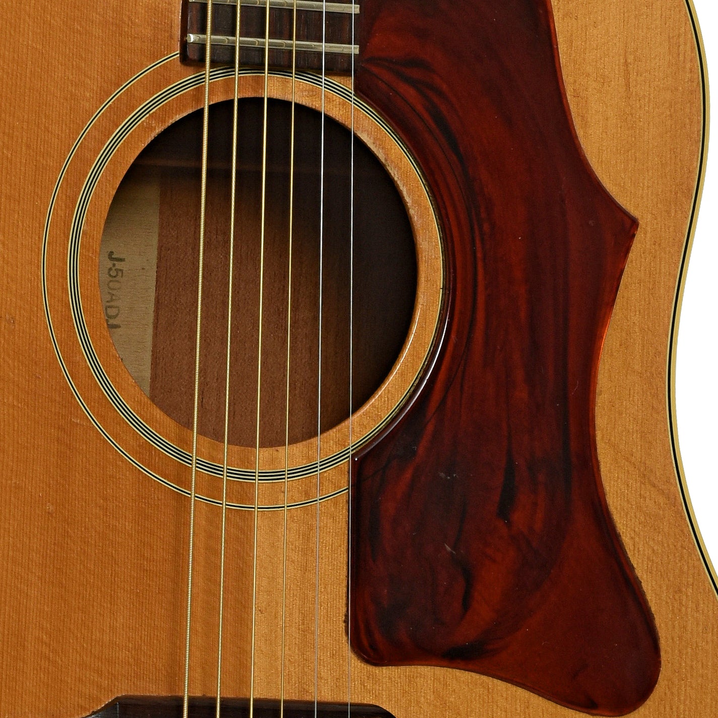 Gibson J-50 ADJ Acoustic Guitar (1967) – Elderly Instruments
