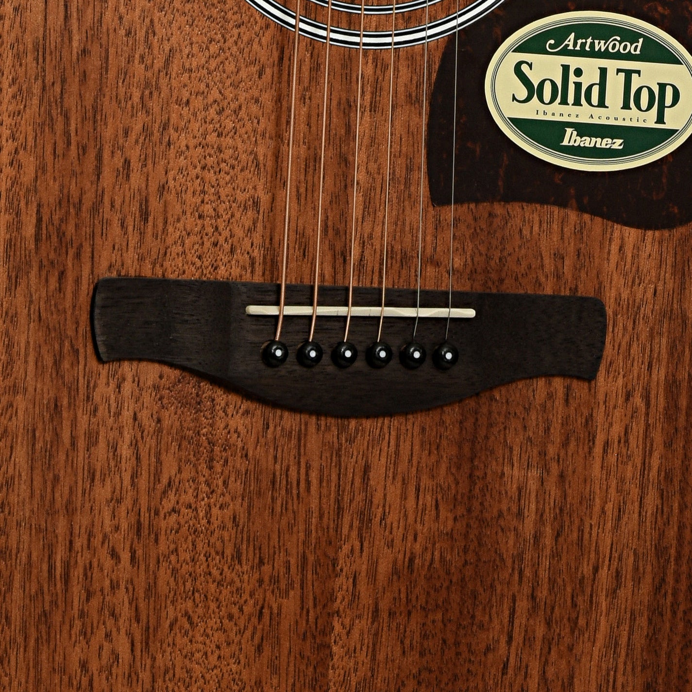 Ibanez Artwood Dreadnought Acoustic Guitar – Elderly Instruments