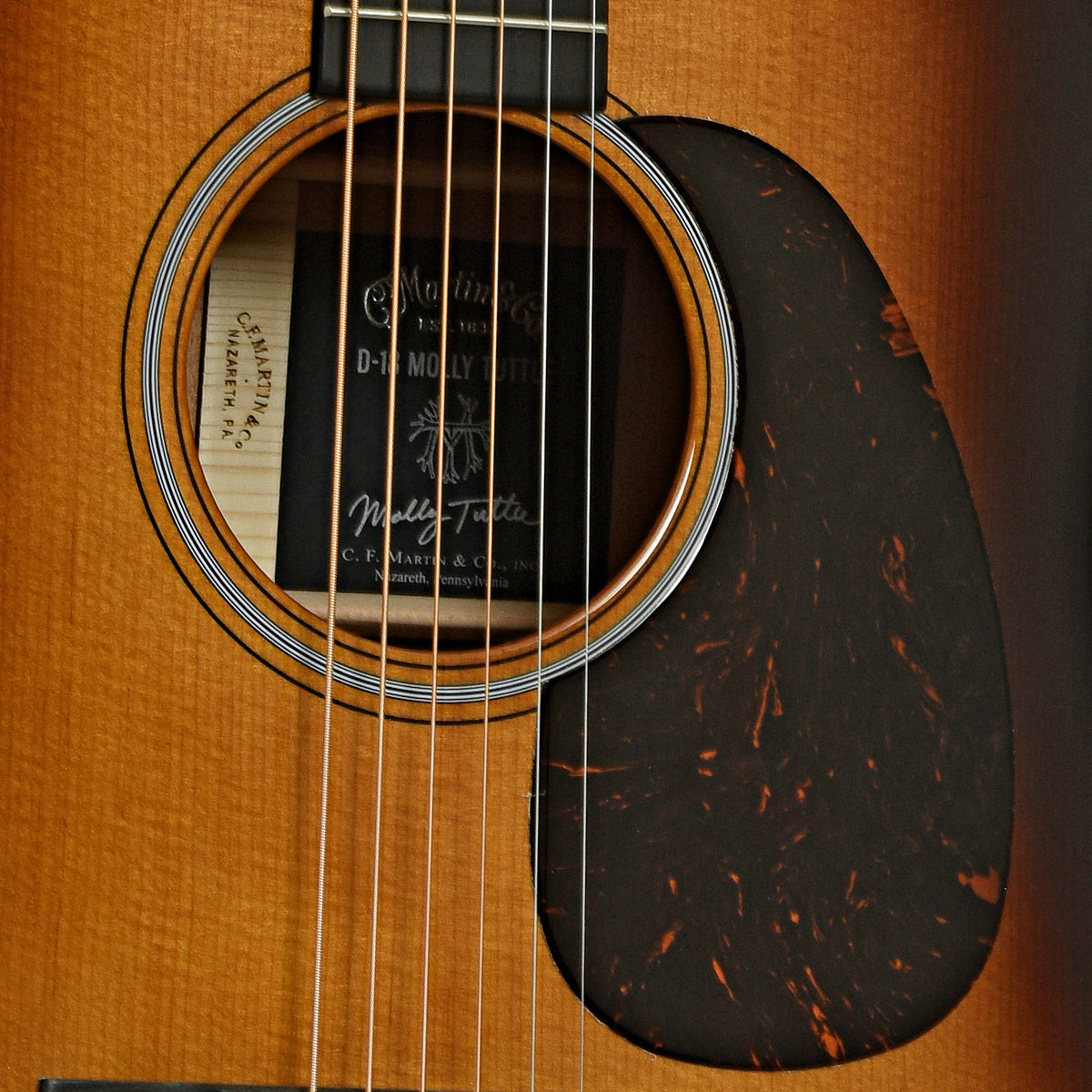 Tuttle Instrument Martin D-18 Molly Tuttle Guitar & Case – Elderly Instruments