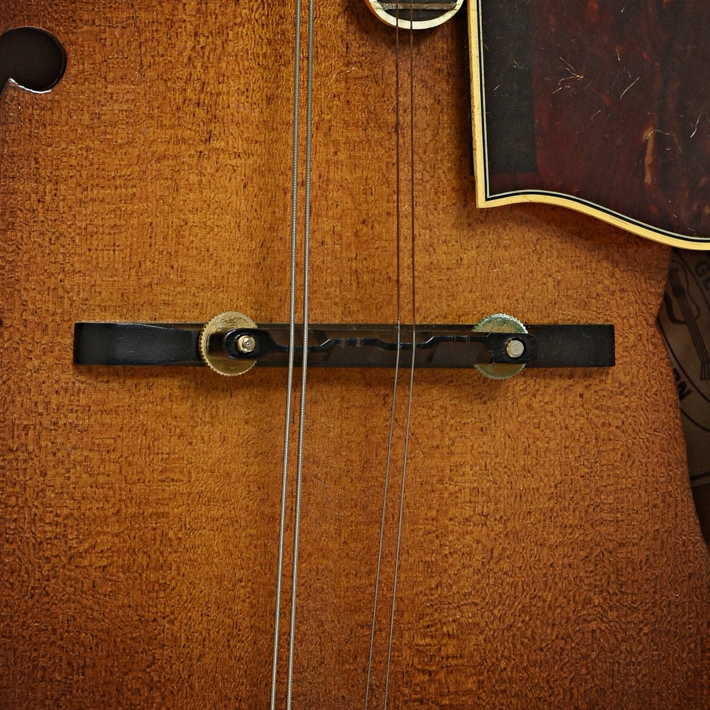 Bridge of Washburn M-5S F-Style Mandolin